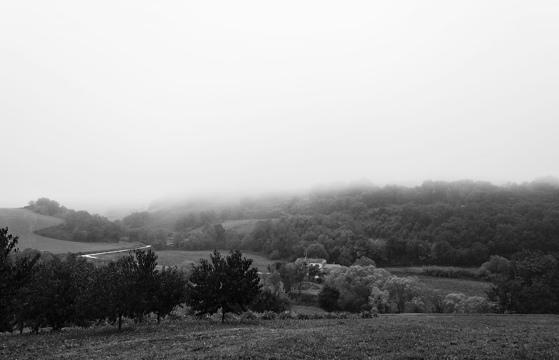 Il lento adagiarsi della Nebbia di niccolo.pucci