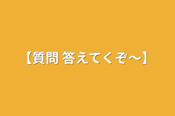 【質問 答えてくぞ〜】