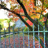 Autunno in giardino di 