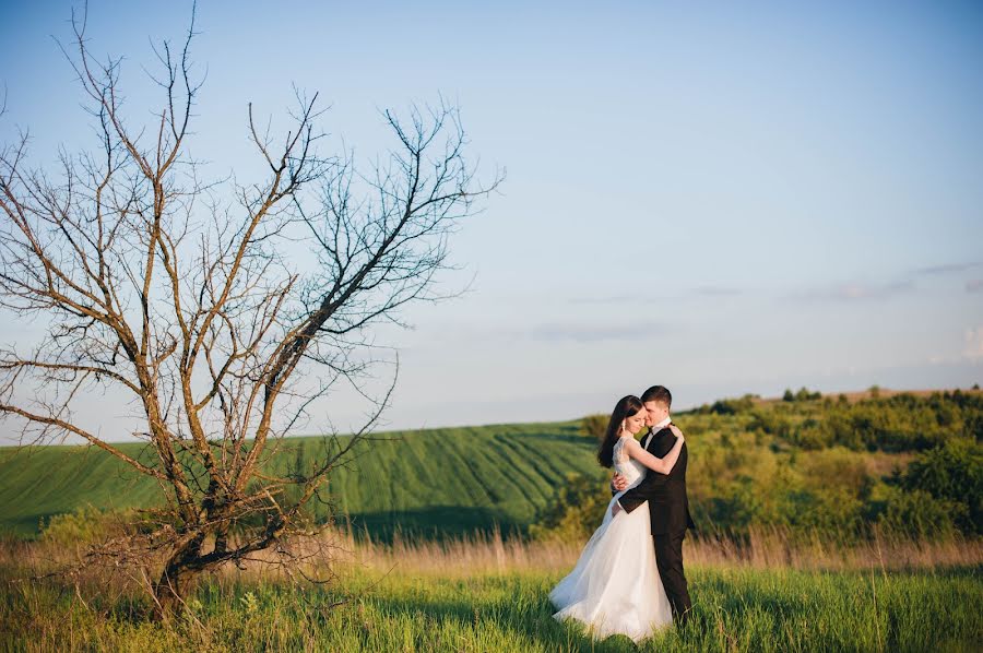 Fotógrafo de bodas Olga Shevchenko (olgashevchenko). Foto del 26 de julio 2017