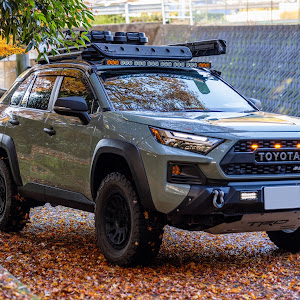 RAV4 AXAH54