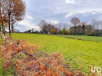 terrain à Moissannes (87)