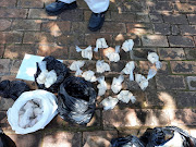 Chemicals seized at a house in Benoni which police suspect is an illegal drug manufacturing laboratory.