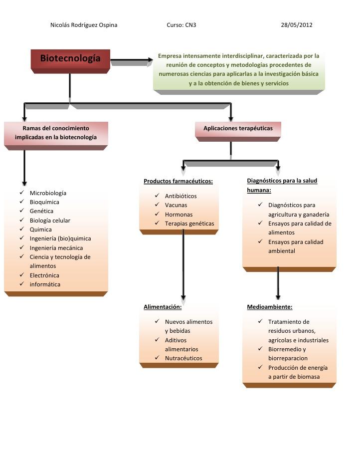 Resultado de imagen de mapa conceptual de la biotecnologia y sus aplicaciones