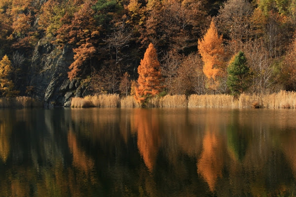 Riflessioni autunnali di mariagrazias