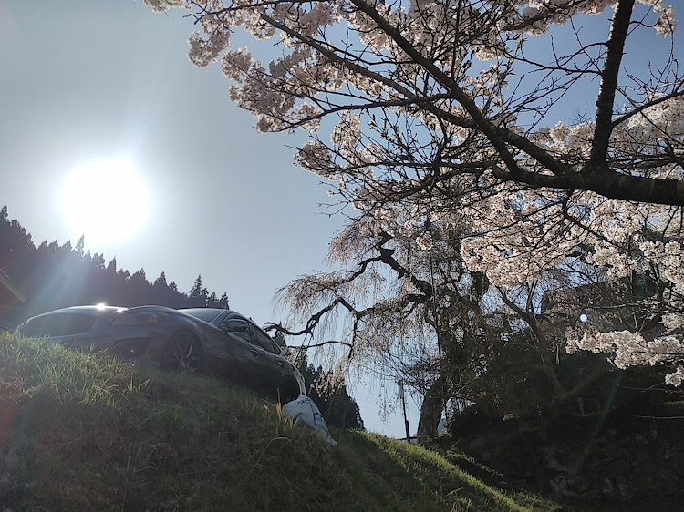 フーガの4月9日(土)・奈良県宇陀市室生・西光寺・樹齢400年・4月30日(土)龍穣会🕶️に関するカスタム事例の投稿画像6枚目