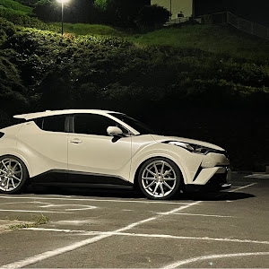 C-HR NGX50