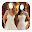 Wedding Dresses Photo Montage Download on Windows