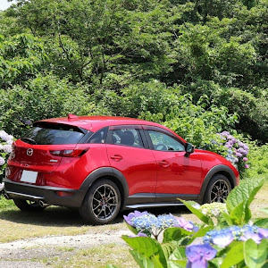 CX-3 DK5FW
