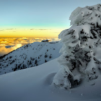 Scende la sera nel silenzio invernale. di 