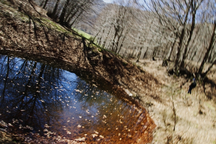 Autunno in movimento di flaviano