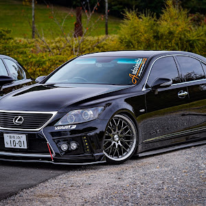 LS