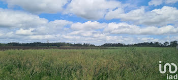 terrain à Saint-Jacut-les-Pins (56)