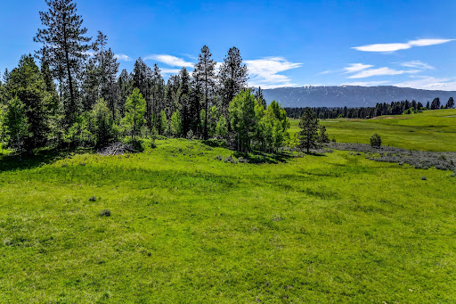 Luxury land for sale in Donnelly (United States) - Vast green meadow bordered by trees