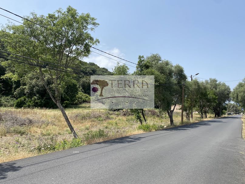 Vente terrain  1100 m² à Serra-di-Fiumorbo (20243), 131 000 €