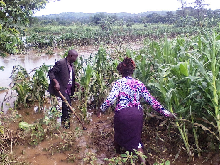 River Malakisi bank where a woman was swept away recently