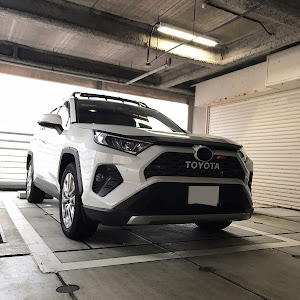 RAV4 MXAA54