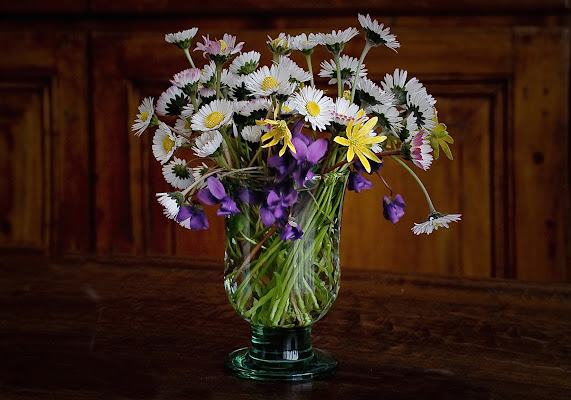 Primavera in casa di mariarosa-bc