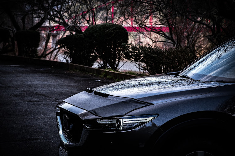 CX-5のNikon・d780・チタニウムフラッシュマイカ・写真が好きな人と繋がりたい・一眼レフに関するカスタム事例の投稿画像3枚目