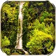 Waterfall Live Wallpaper Download on Windows