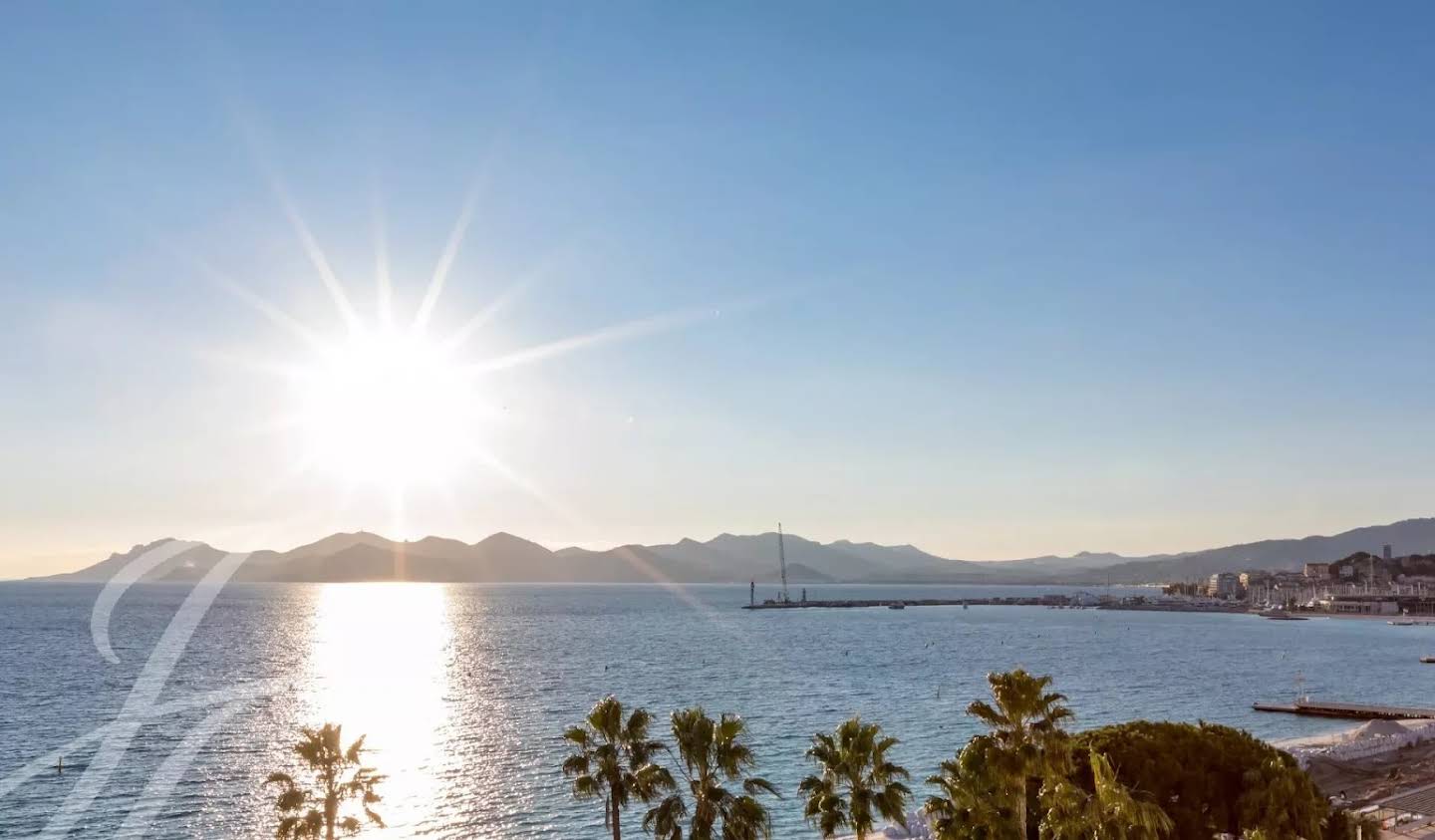 Apartment with terrace and pool Cannes