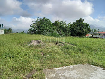 terrain à Le morne rouge (972)