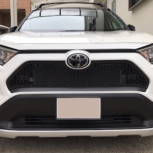 RAV4 MXAA52