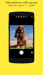 SnapTime Easy Stamp Camera v3.23 Premium APK 4