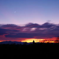 Viola come il cielo. di 