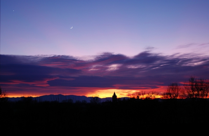 Viola come il cielo. di Virgi