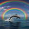 Item logo image for Whale and rainbow wallpaper