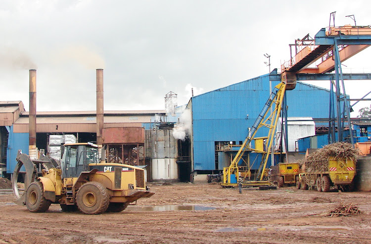 Nzoia Suagr Company in Bungoma county.