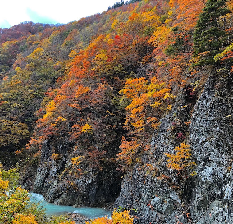 の投稿画像5枚目