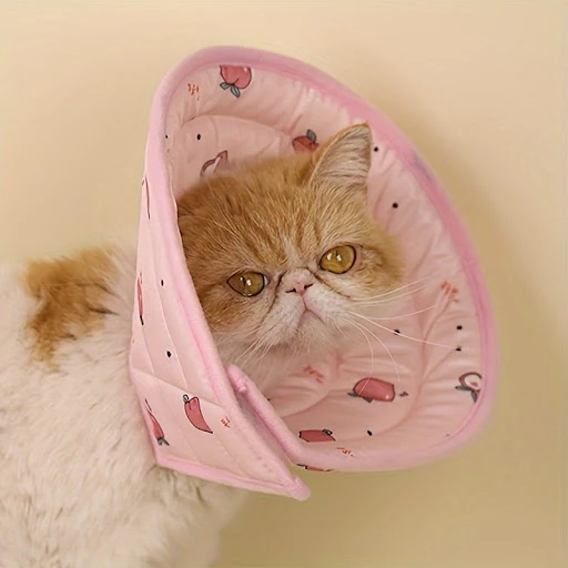 images slider number - 5