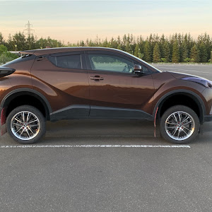 C-HR NGX50