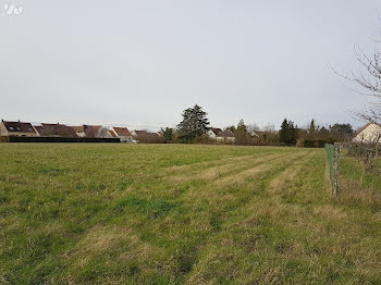 ferme à Jargeau (45)