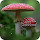 Mushroom Wallpaper HD Custom New Tab