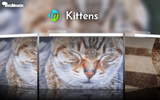 Kittens Wallpapers New Tab