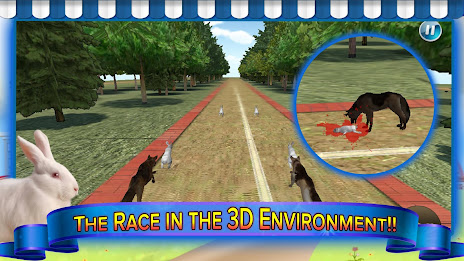 Dog Chase Rabbit Hunt Endless poster 14