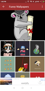 Funny Wallpapers(圖2)-速報App
