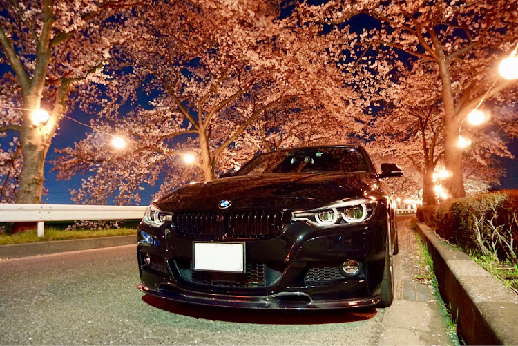 3シリーズ セダンのさくら満開・さくらとコラボに関するカスタム事例の投稿画像1枚目