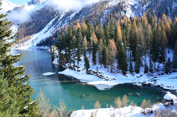 Bianco e verde di 5-9