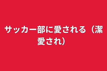 サッカー部に愛される（潔愛され）