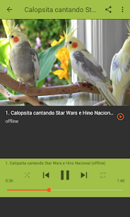 Calopsita Nick cantando várias músicas(圖3)-速報App