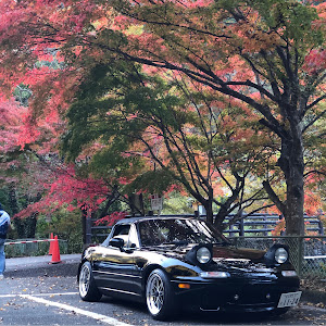 ロードスター NA8C