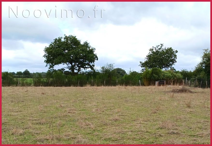 Vente terrain  1975 m² à Riaillé (44440), 96 500 €