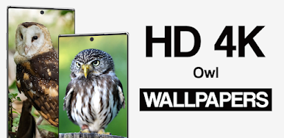 the owl house wallpaper HD 4K APK for Android Download