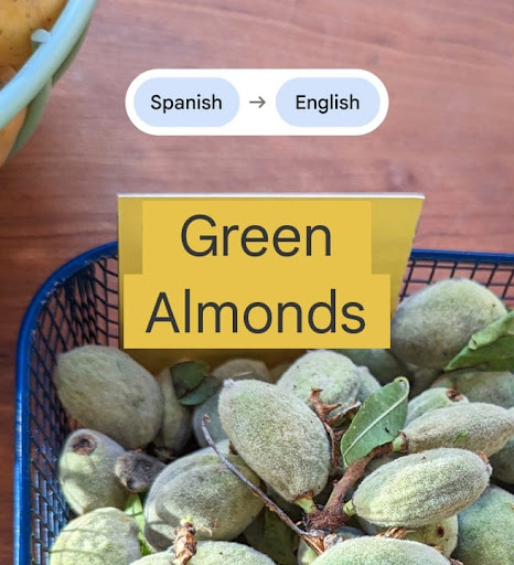 Pixel 8'as Live Translate feature to translates a tag on some produce. The phone displays the translated tag as "Green Almonds."