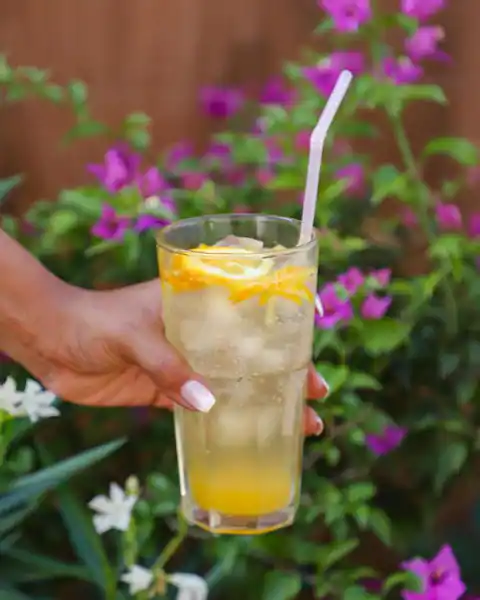 Fresh Lemonade