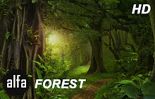 Forest HD Wallpapers Nature New Tab Theme small promo image